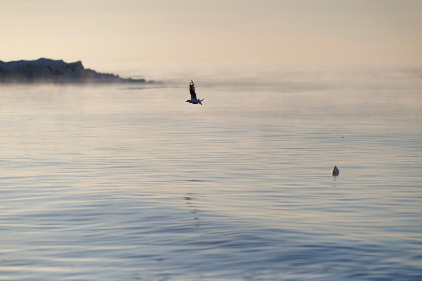 Stilla gryning över havet vid Gran Canaria